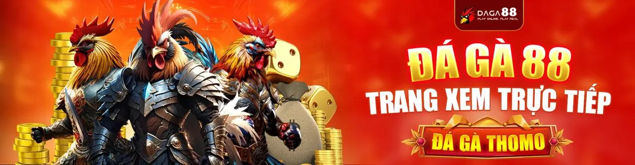 Đá Gà Trực Tuyến Conga6789
